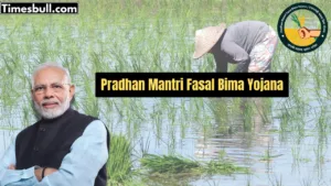 Government to Cover Farming Losses from Rain Damage! Apply in Advance Like This Method