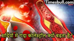 Why does bad cholesterol increase in cold weather? Know in one click