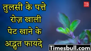 What are the benefits of eating basil leaves every day on an empty stomach