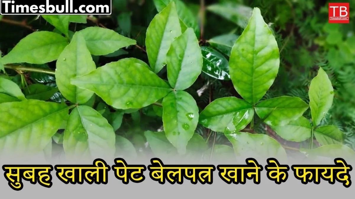 Belpatra Benefits