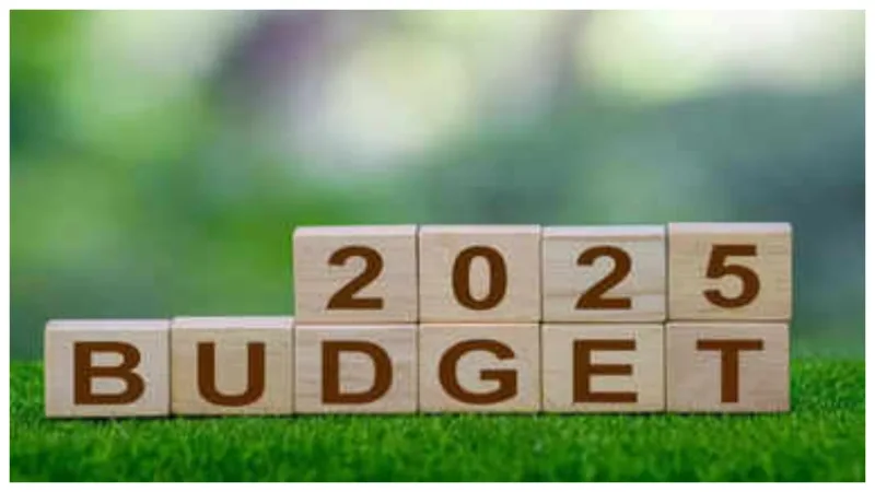 Budget 2025