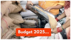 Budget 2025 – Free ration Scheme For 80 crore People! Will Section 80C limit increase?