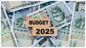 Budget 2025 – Will Nirmala Sitharaman big tax changes every taxpayer? Senior Citizens Await…