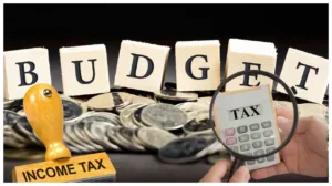 Budget 2025 – Will Income Tax Slabs Change? How much income will be tax free