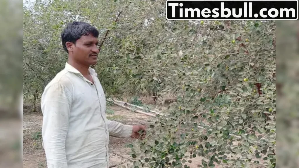 Better than SIP-FD, Cultivation of this crop makes you a millionaire! 