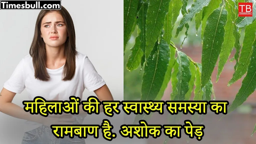 This part of Ashoka tree can cure every health problem of women in a jiffy