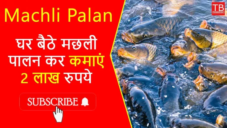 Fish farming: Do this business and earn 2 lakh rupees per month from home