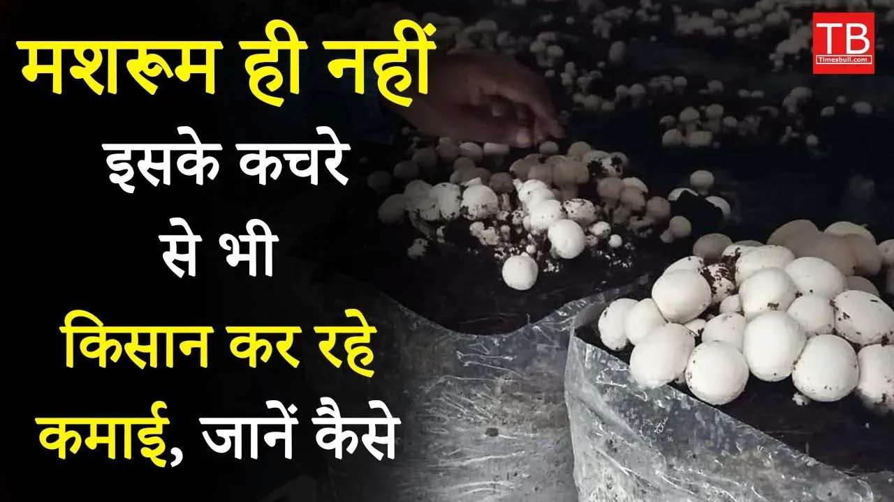 Farmer Earning from mushroom and...