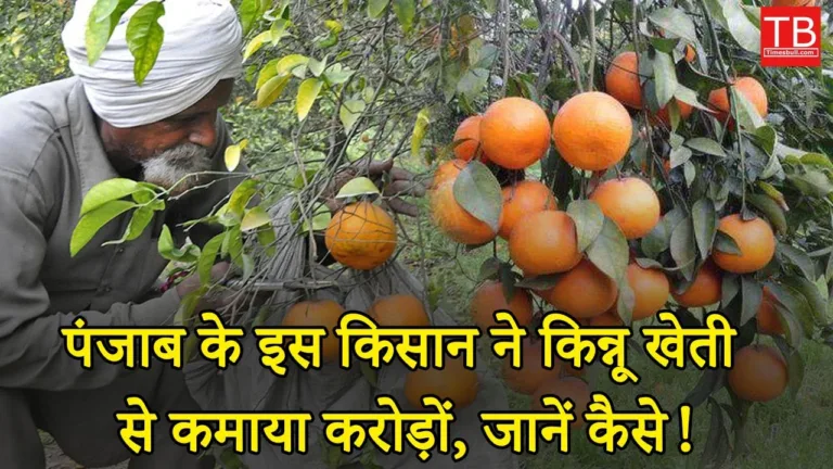 Kinnow farming success story: Know how it achieved success