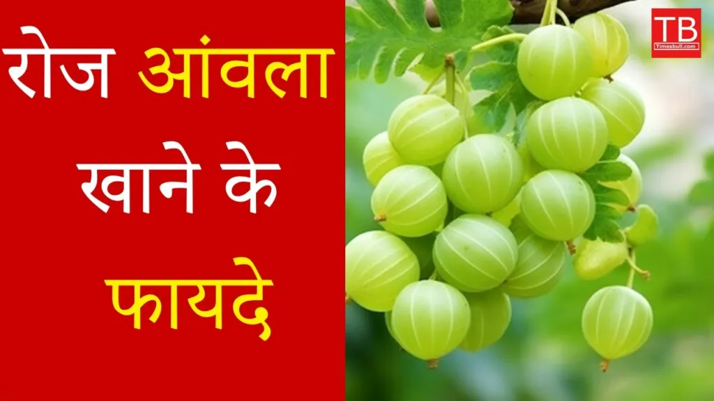 What are the benefits of eating Amla every day? Know the complete information