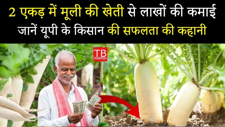 This UP farmer earns lakhs from radish farming on just 2 acres: Know the full details