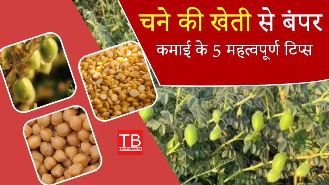 5 tips to make huge...