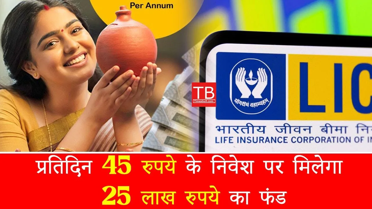 If you invest 25 rupees...