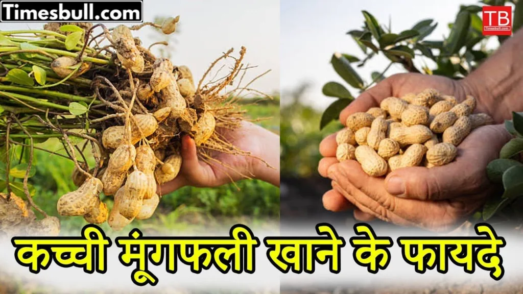 The health benefits of eating raw peanuts are known