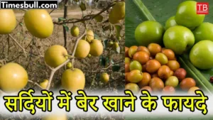 What are the benefits of eating plums in winter? Know it in just one click