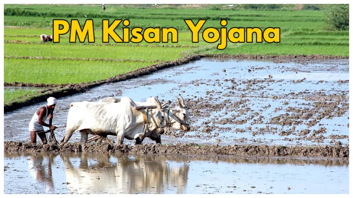 Pm Kisan