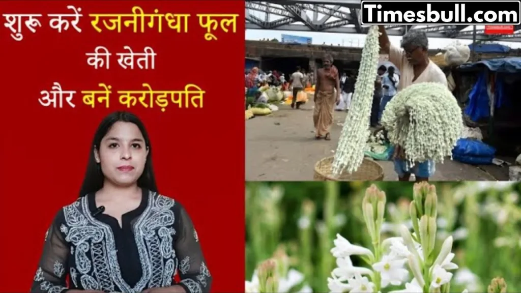 Start cultivating tuberose flowers in the new year and become a millionaire