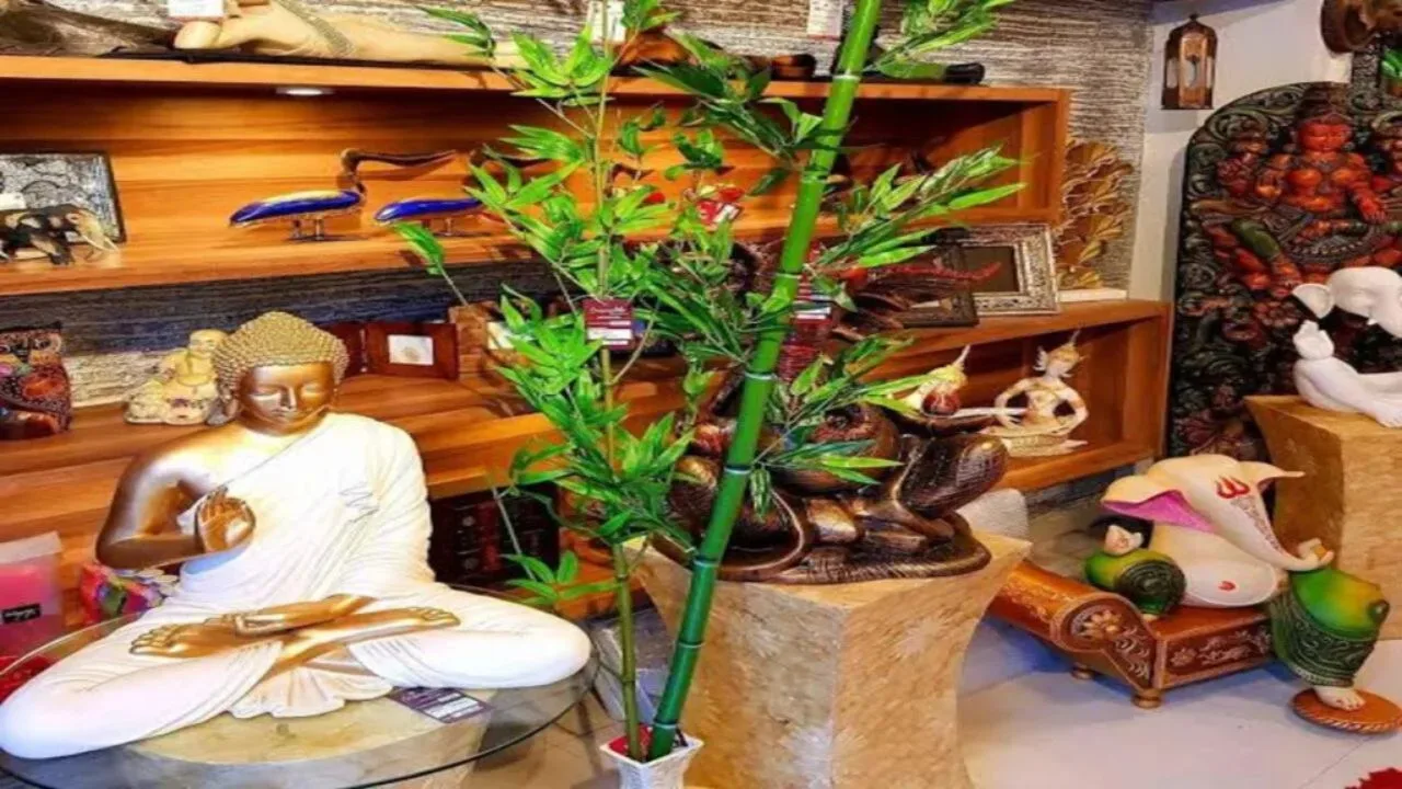 Vastu Tips: Do these