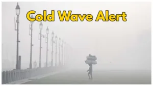 Weather Forecast – IMD Warning Cold Wave, Rain & Temperatures Drop in These States for next 3 Days