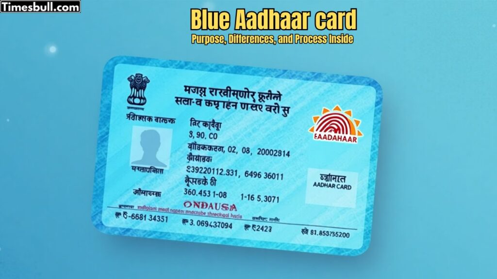 Blue Aadhaar card