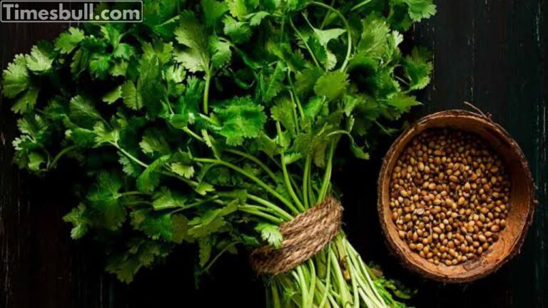 Profitable business idea for beginners, market demand is high