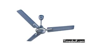 Ceiling Fans