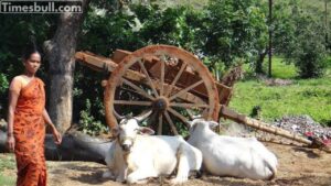 Government Yojana: Subsidy upto 90%! Rs 60k financial support - know details