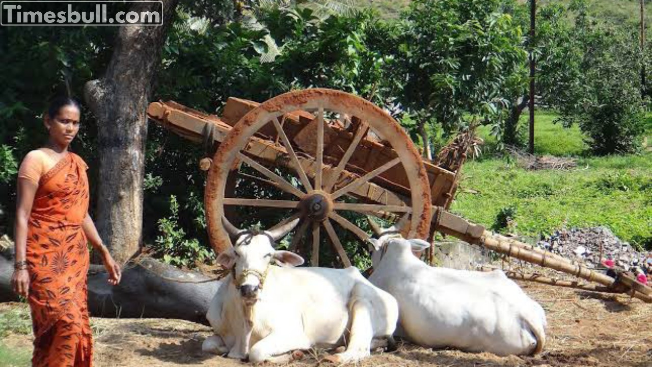 Government Yojana: Subsidy upto 90%!...