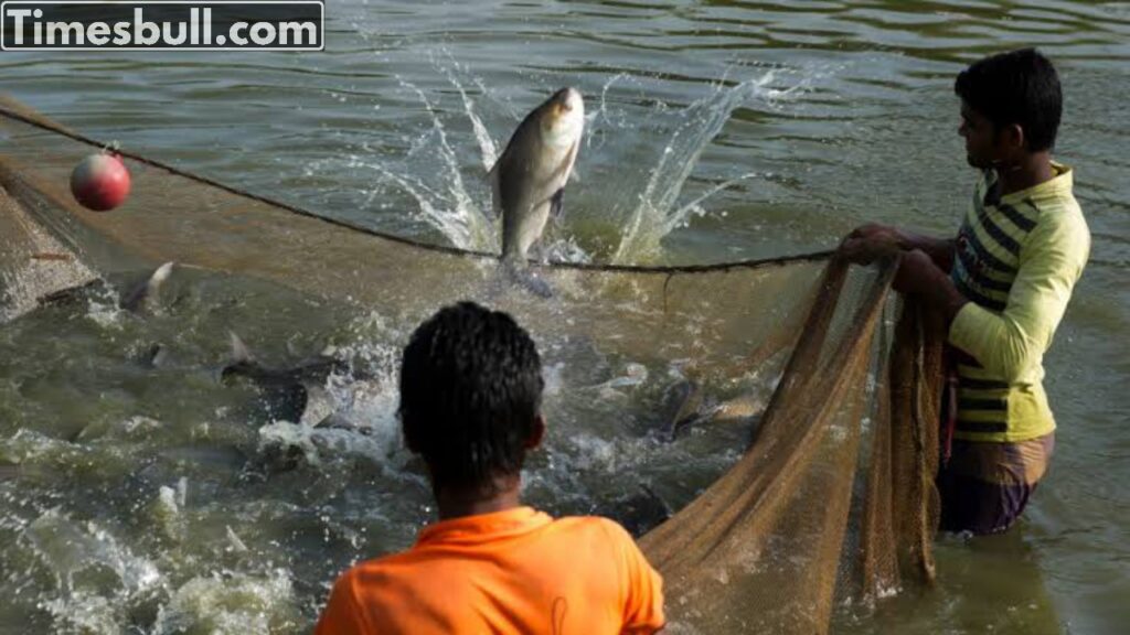 Fish Farming: The government offers a subsidy of 60%, this scheme can prove very helpful