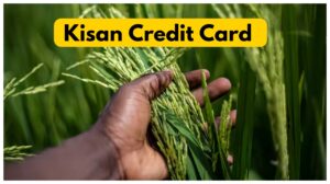 Kisan Credit Card – Limit Increased to Rs 5 Lakh, Here Check eligibility & How to Apply