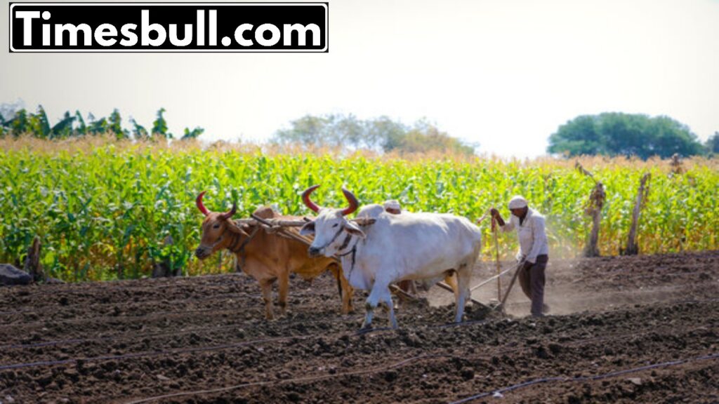 This Govt scheme is a boon for farmers! Everyone can get benefits worth thousands by spending just Rs 1