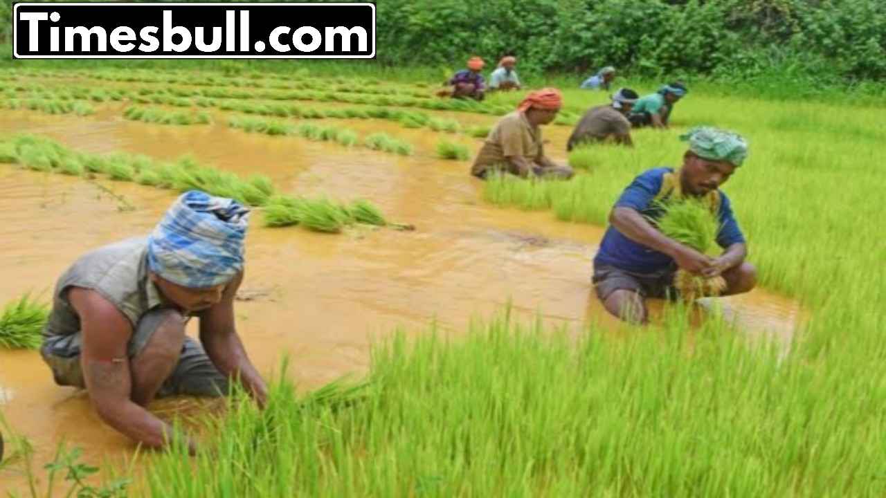 Good news fow farmers,