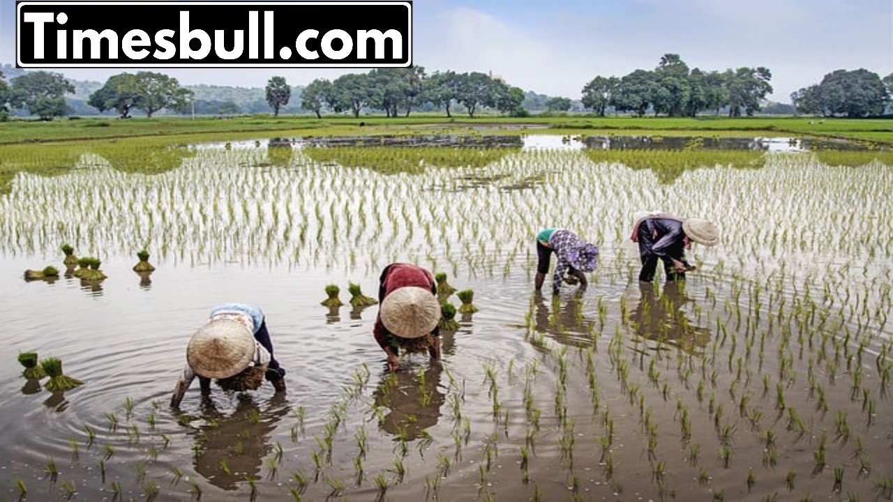 Very good news for farmers!...