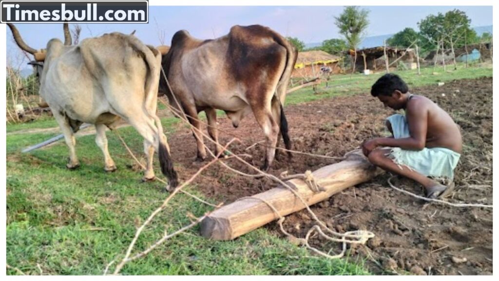 This can help in both farming and business, government will help