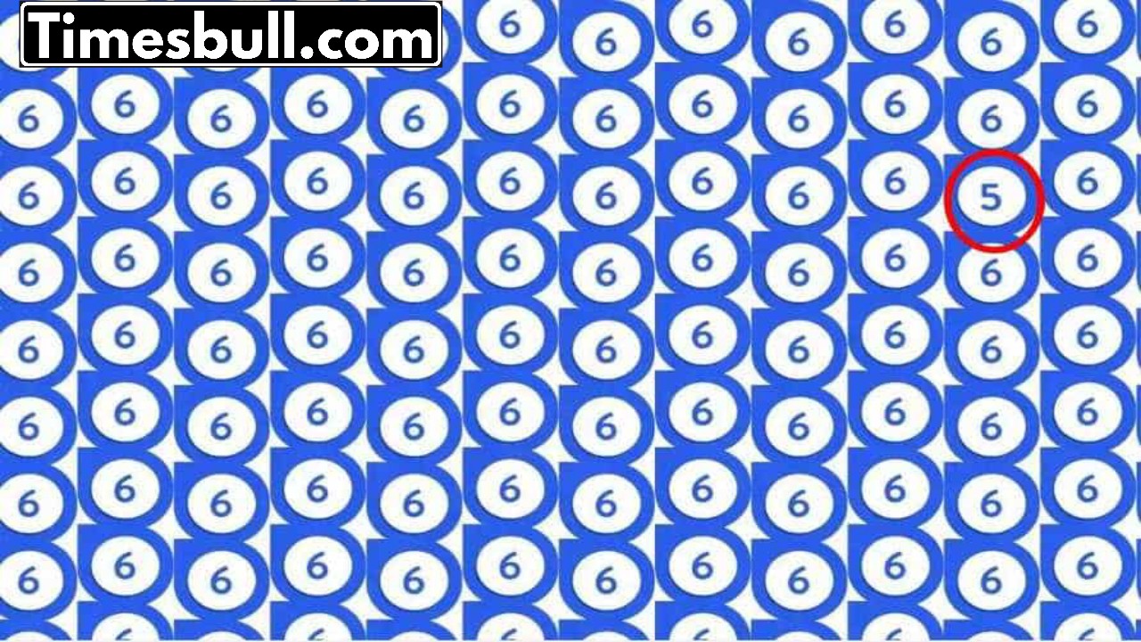 illusions