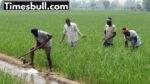 indian farmers
