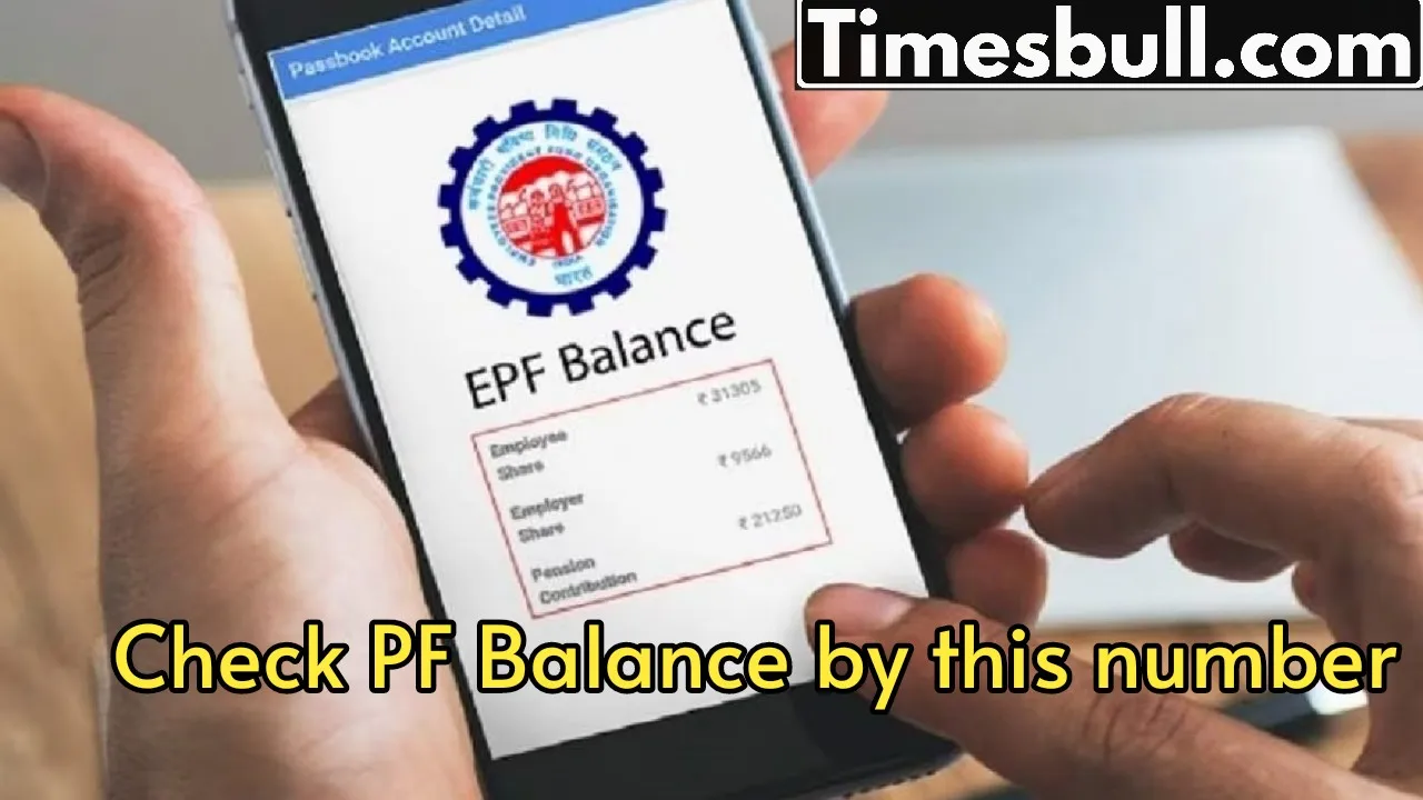 Pf Balance Check