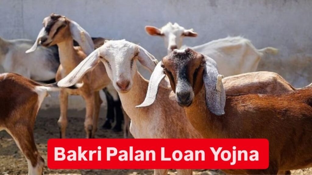 Bakri Palan Loan Yojna