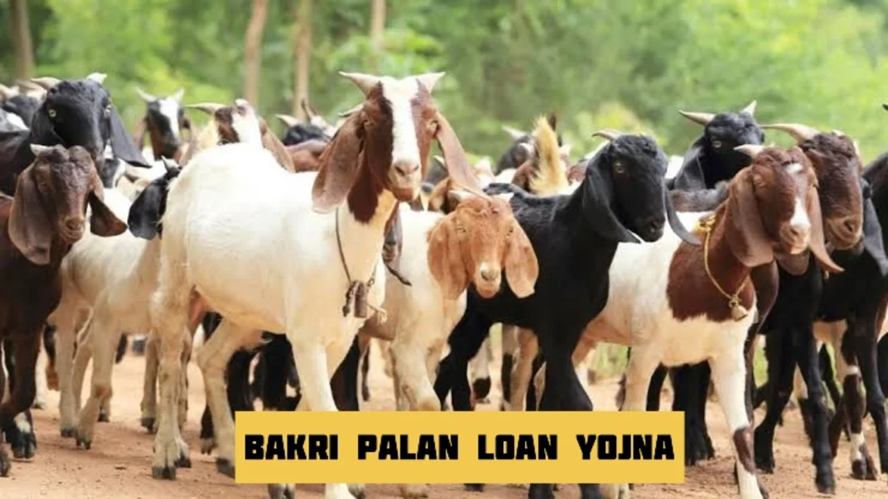 Lado Laxmi Yojana is a...
