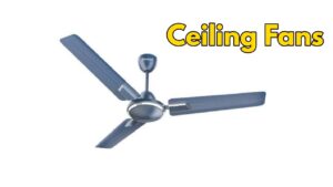Ceiling Fans