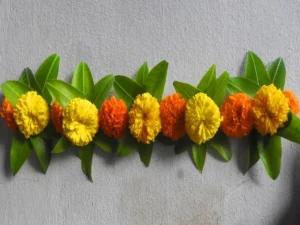 Chaitra Navratri Vastu Dosh Remedies

