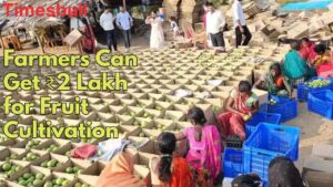 Good News for Farmers! Bihar Govt to Provide ₹2 Lakh for Crop Cultivation