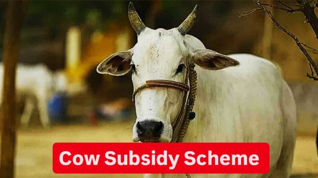 Cow Subsidy Scheme: सरकार देगी..देशी गाय पालने पर 30,000 रुपए, बस करना होगा ये काम