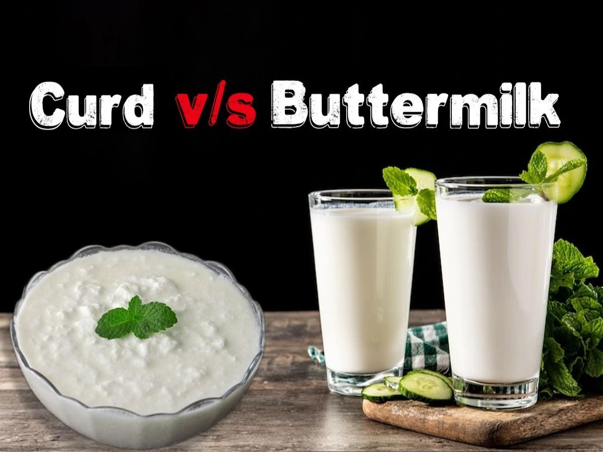Curd or buttermilk, which is...