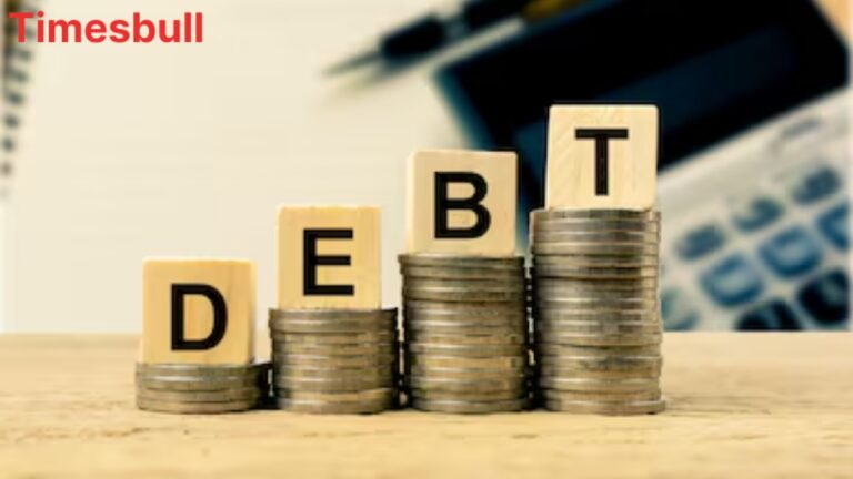 Debt