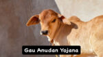 Gau Anudan Yojana.jpg