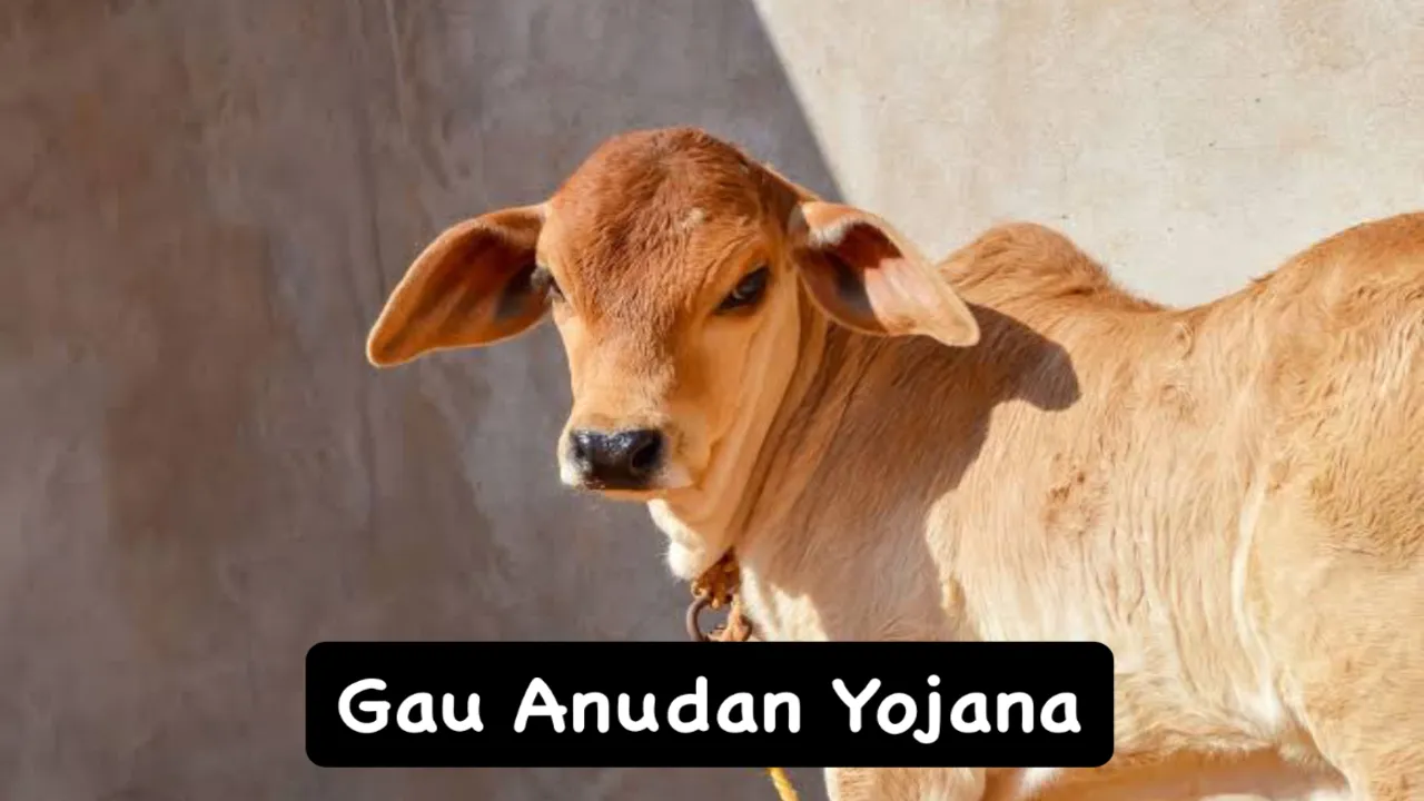 Gau Anudan Yojana