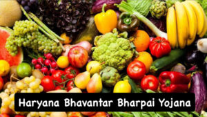 Haryana Bhavantar Bharpai Yojana: Farmers will get compensation for their crops, portal has started!