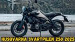 Husqvarna Svartpilen 250