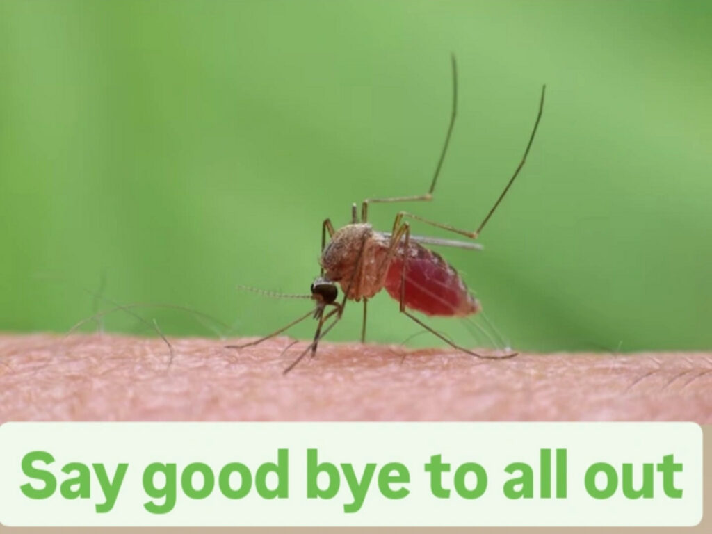 Say goodbye to All Out! Home remedies to keep mosquitoes away